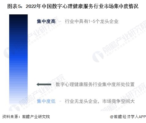 图表5：2022年中国数字心理健康服务行业市场集中度情况